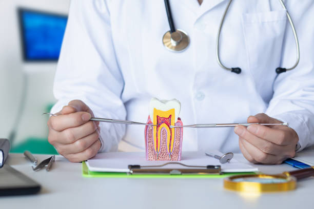 Best After-Hours Emergency Dentist in Delphi, IN